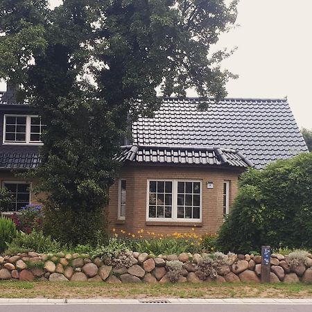 Ferienwohnung Hinz - Gemuetliche Unterkunft Fuer 2 Personen Mit Modernem Bad Ellingstedt Luaran gambar
